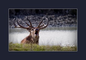 Mel_Taylor_Nature_February_UK_14