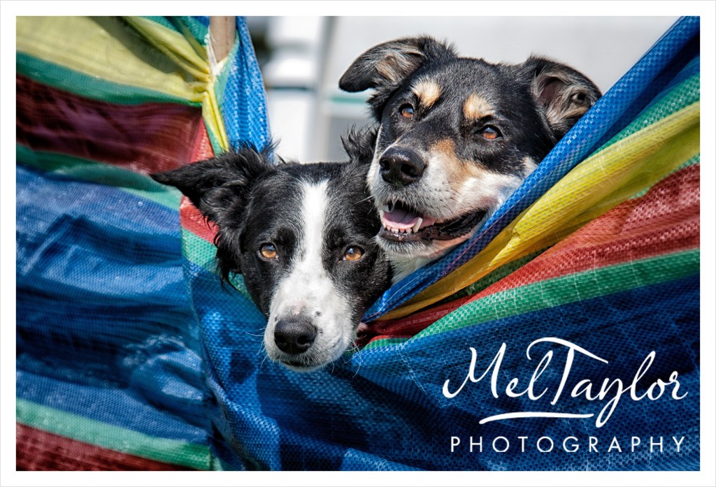 digital photographer_0037