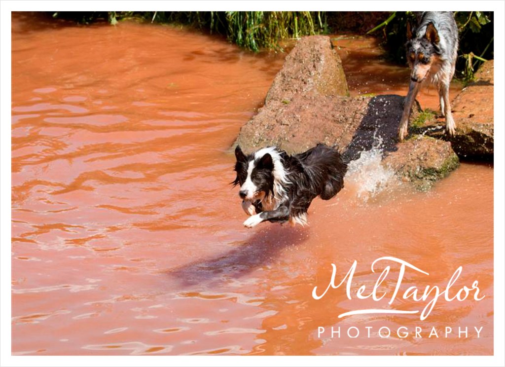 digital photographer_0039