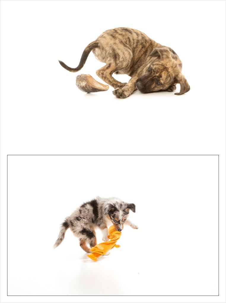 digital photographer_0080