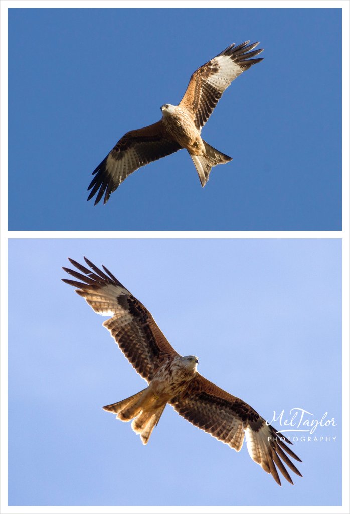 digital photographer_0039