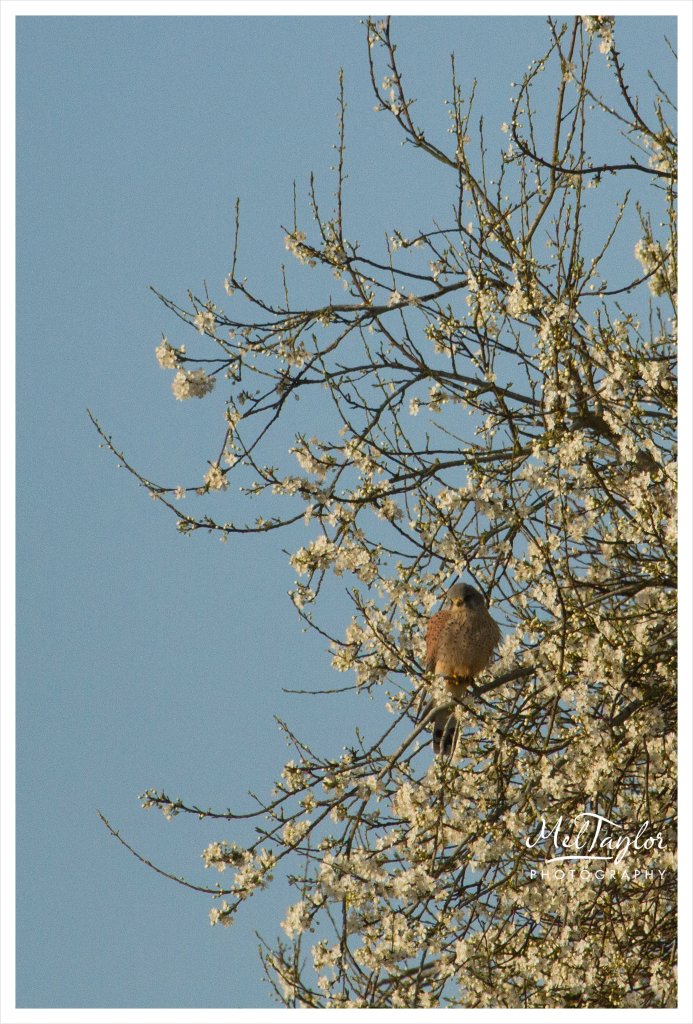 digital photographer_0042