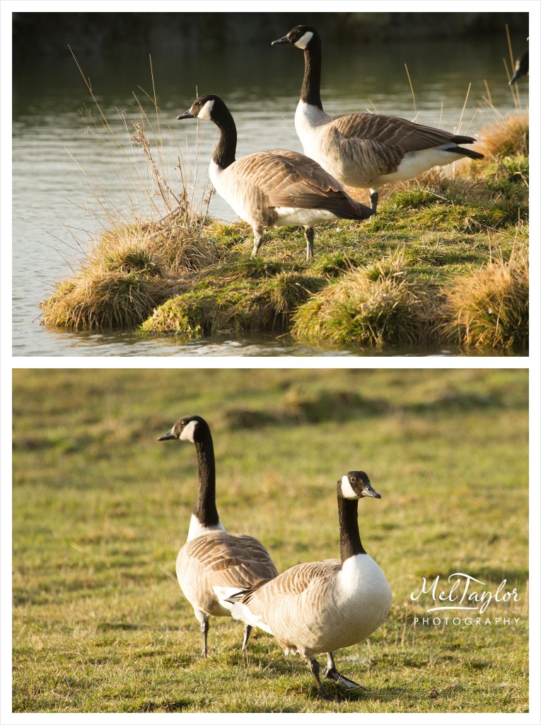 digital photographer_0044