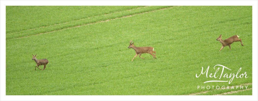 digital photographer_0045