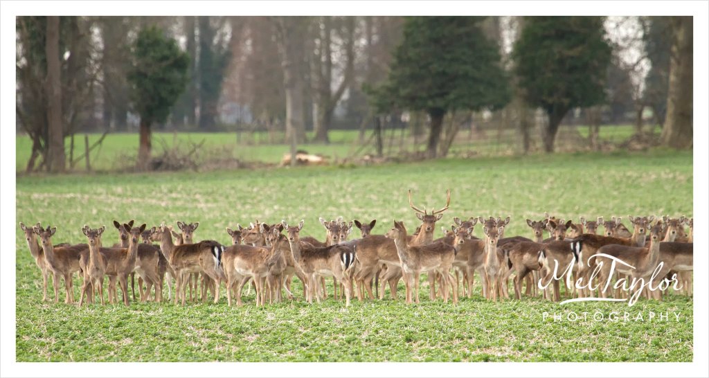 digital photographer_0046