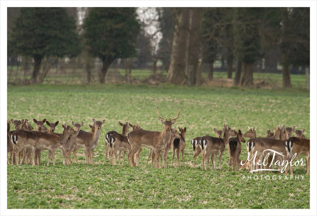 digital photographer_0047