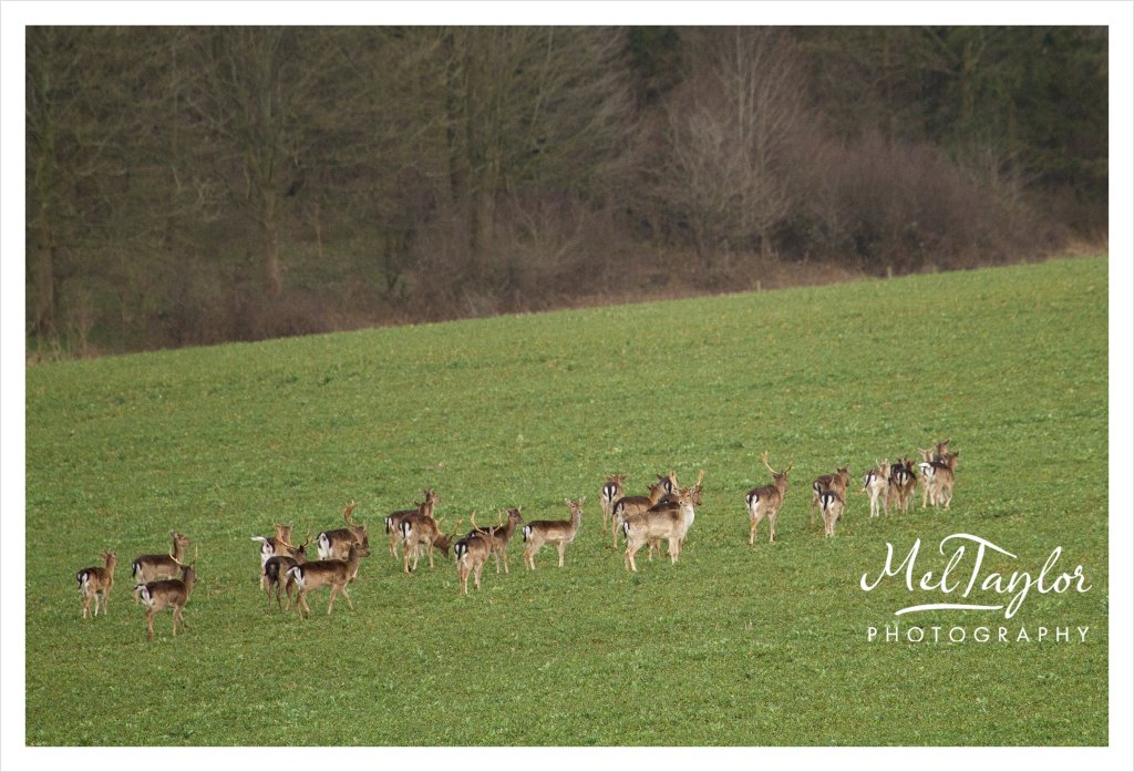 digital photographer_0048