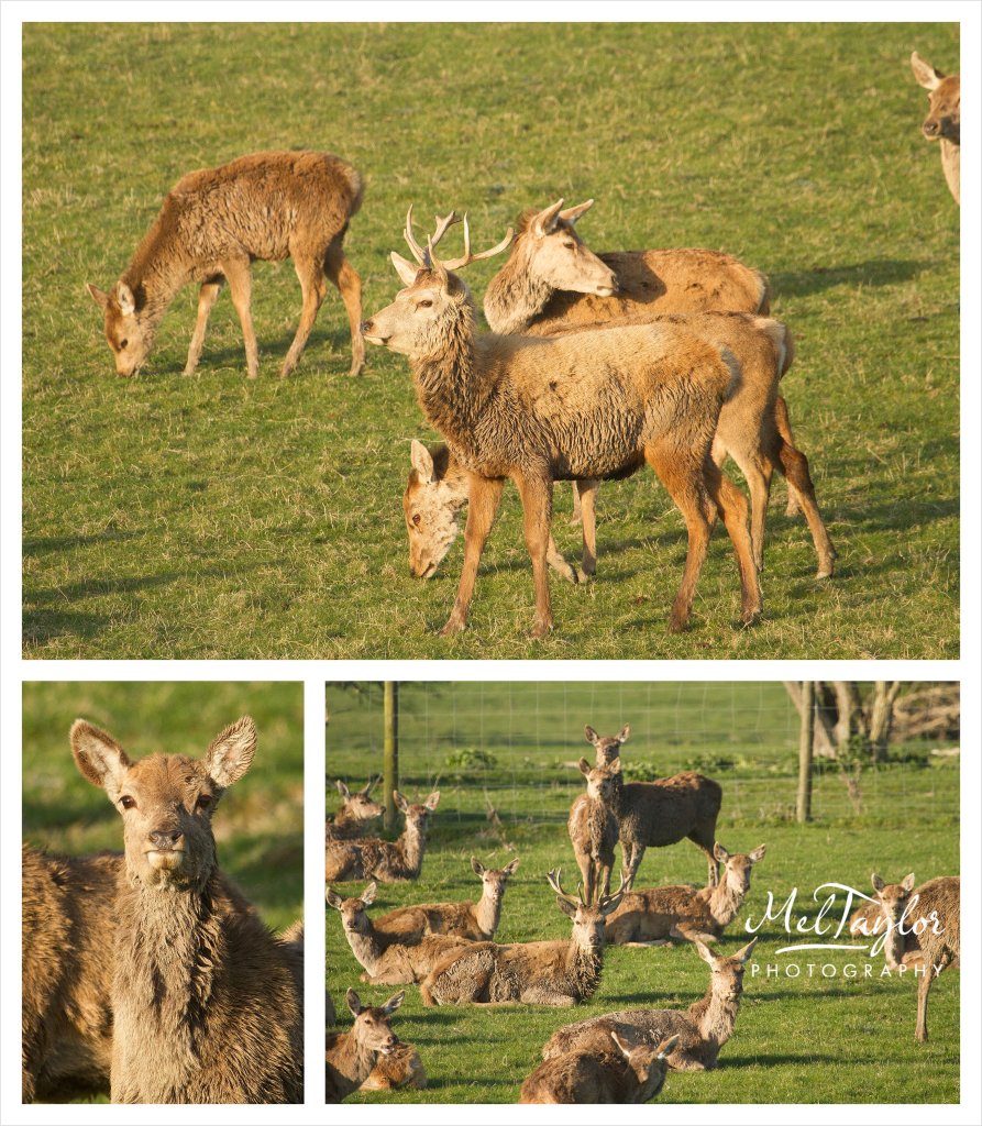 digital photographer_0050