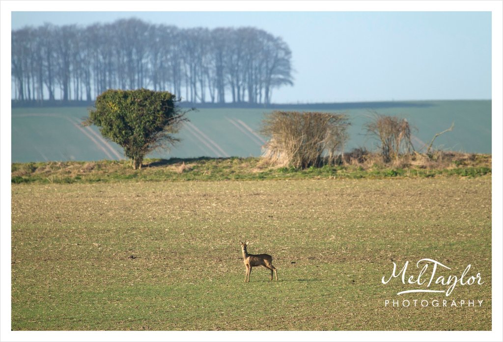 digital photographer_0051