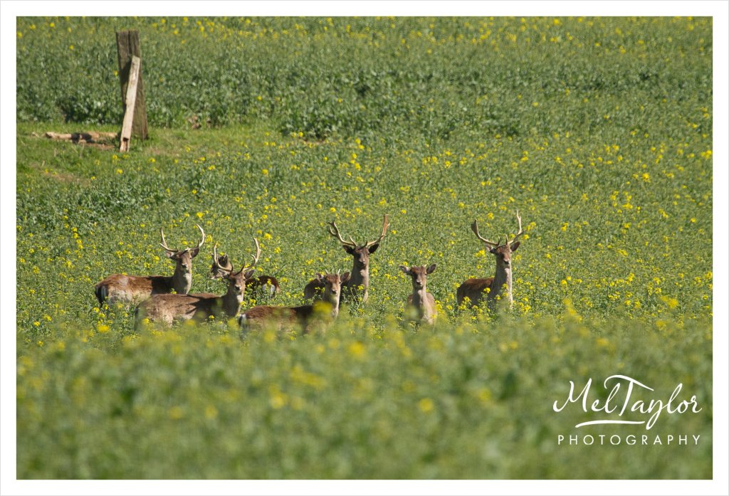 digital photographer_0052