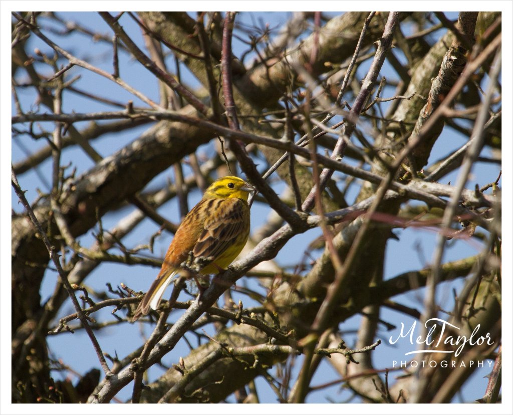 digital photographer_0053