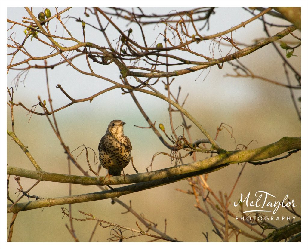 digital photographer_0054