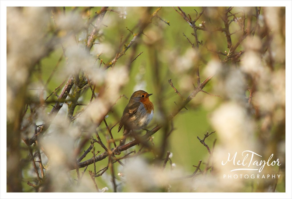 digital photographer_0056