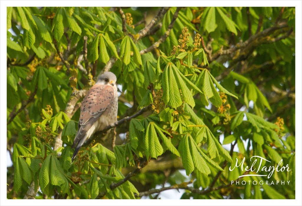 digital photographer_0057