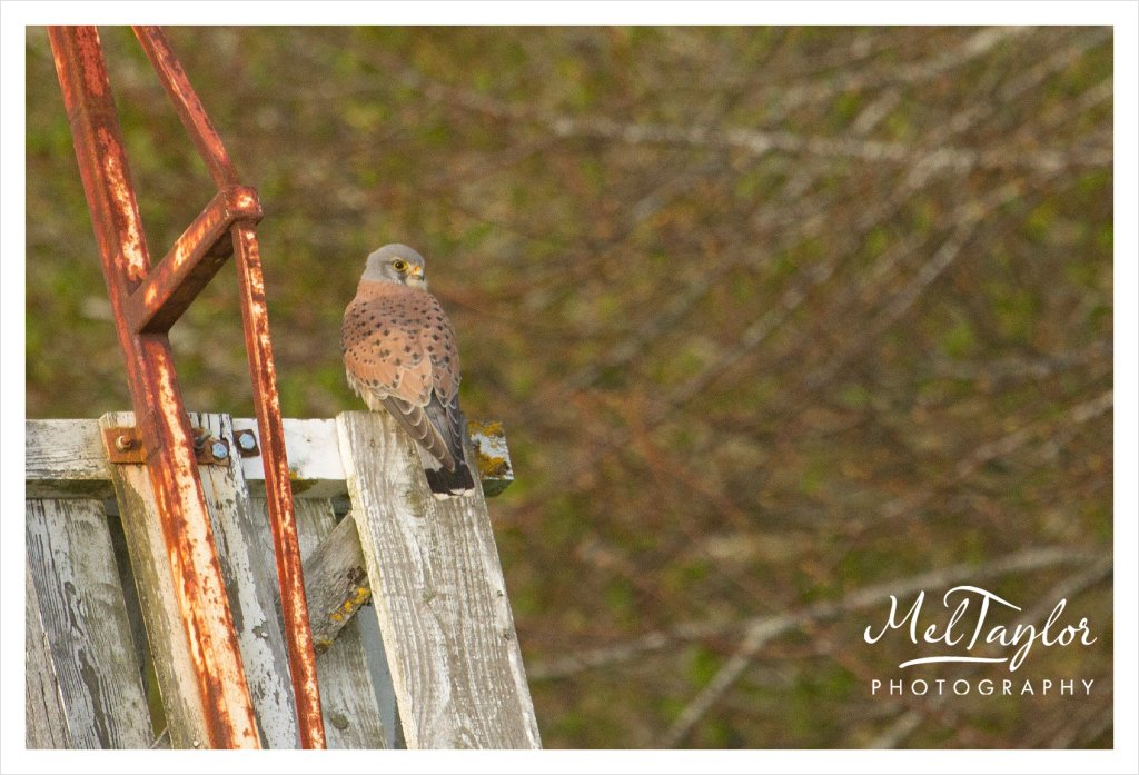 digital photographer_0058