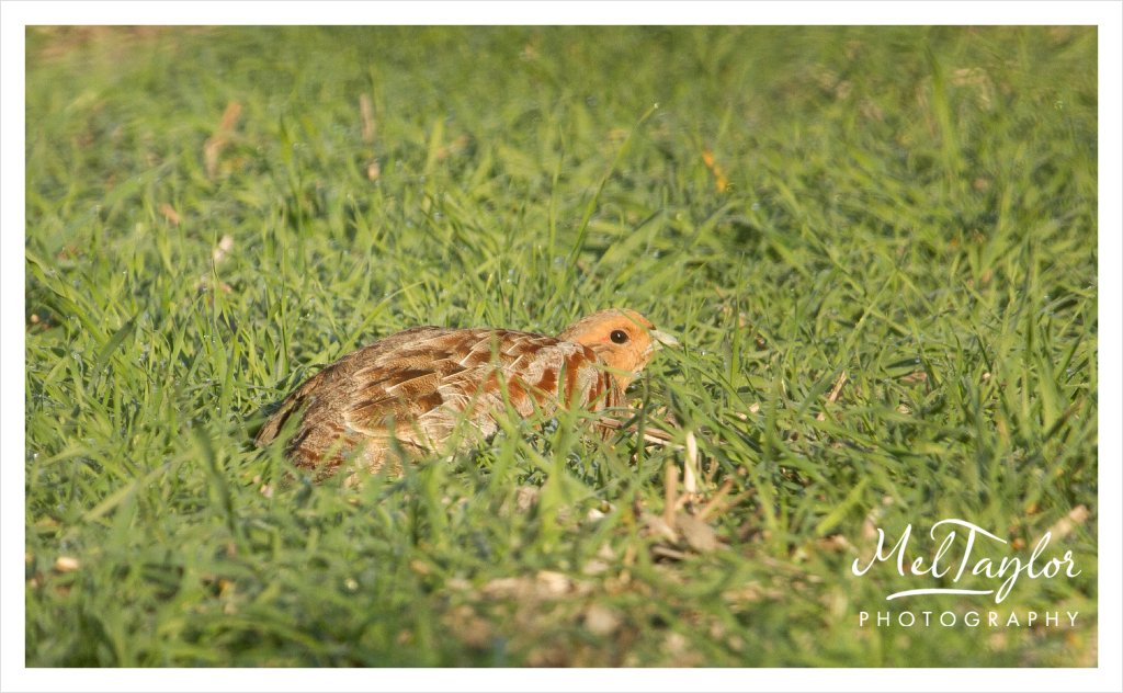 digital photographer_0060