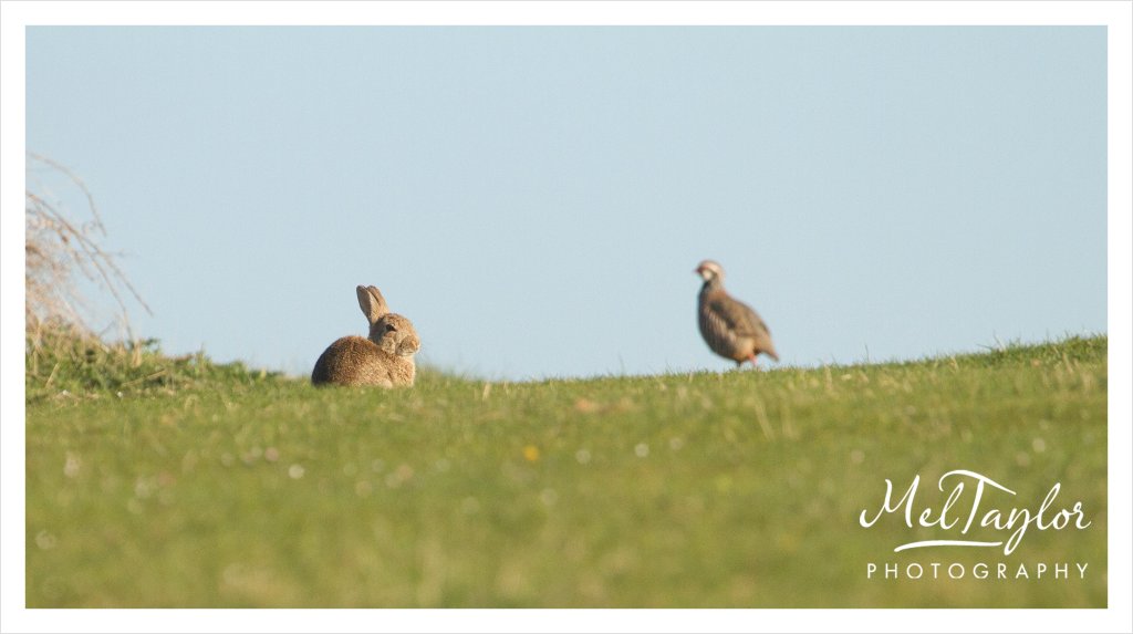 digital photographer_0061