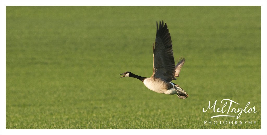 digital photographer_0063