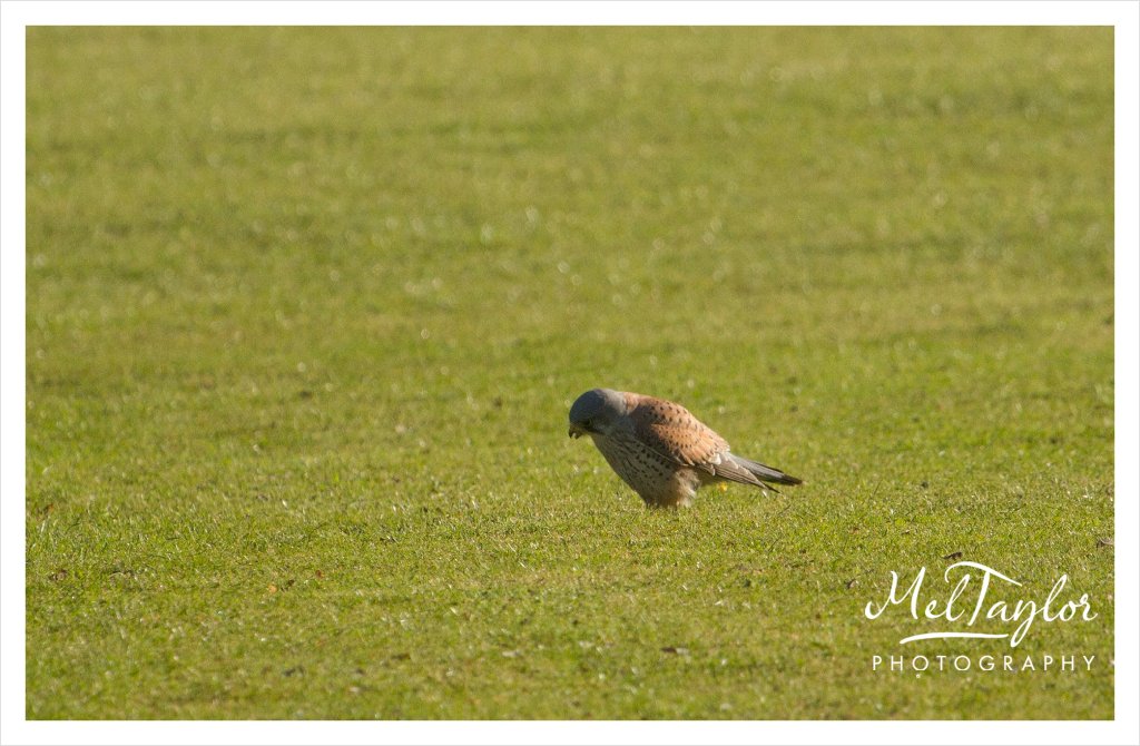 digital photographer_0064