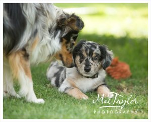 MMOS July Critique_0018