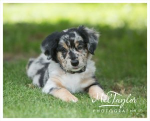 MMOS July Critique_0019