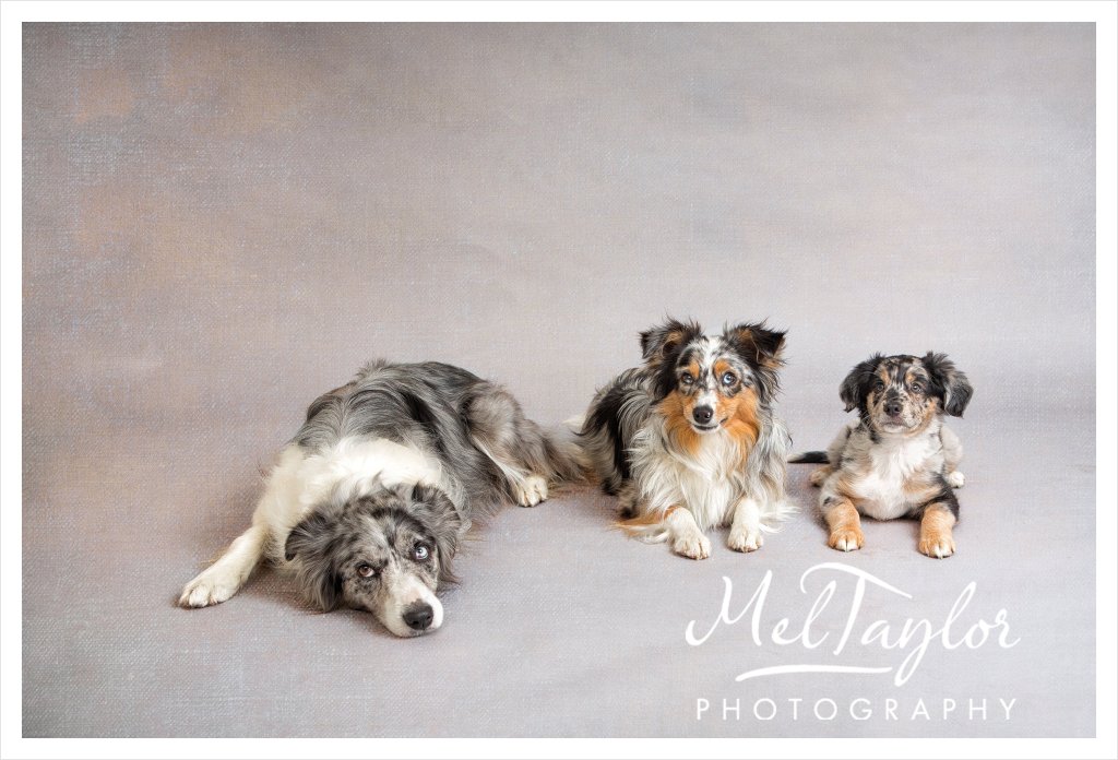 MMOS July Critique_0020