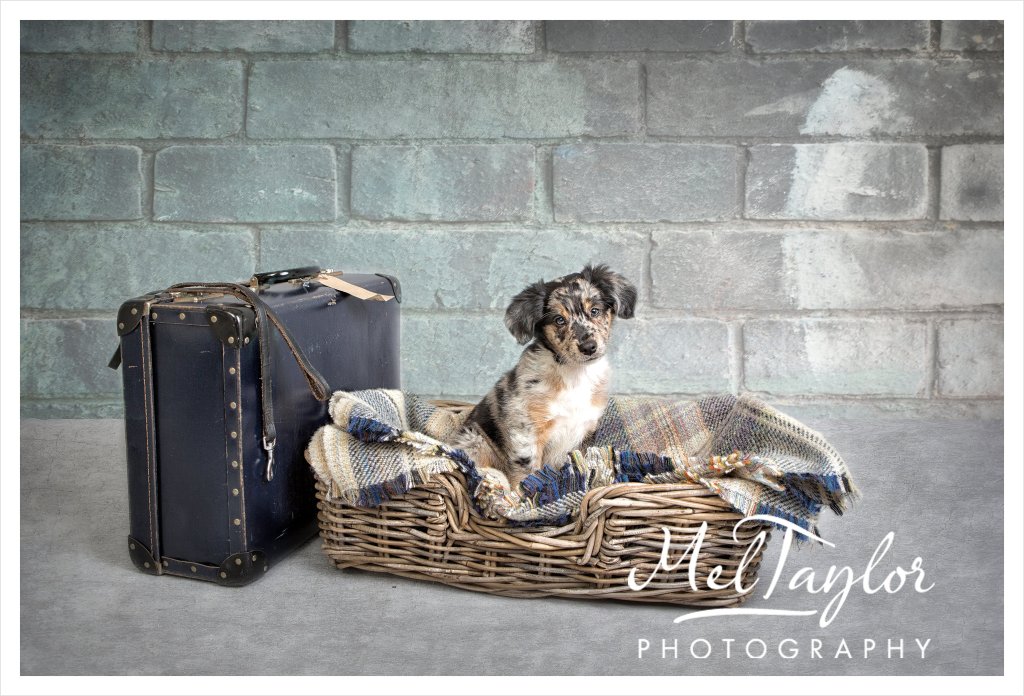 MMOS July Critique_0021