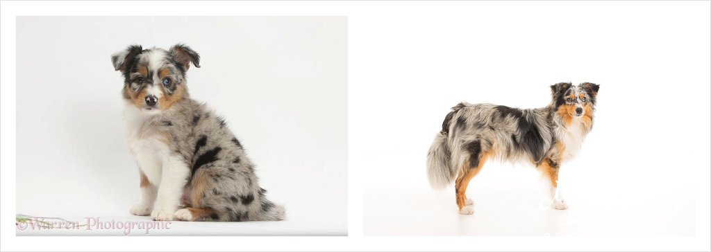 digital photographer_0076