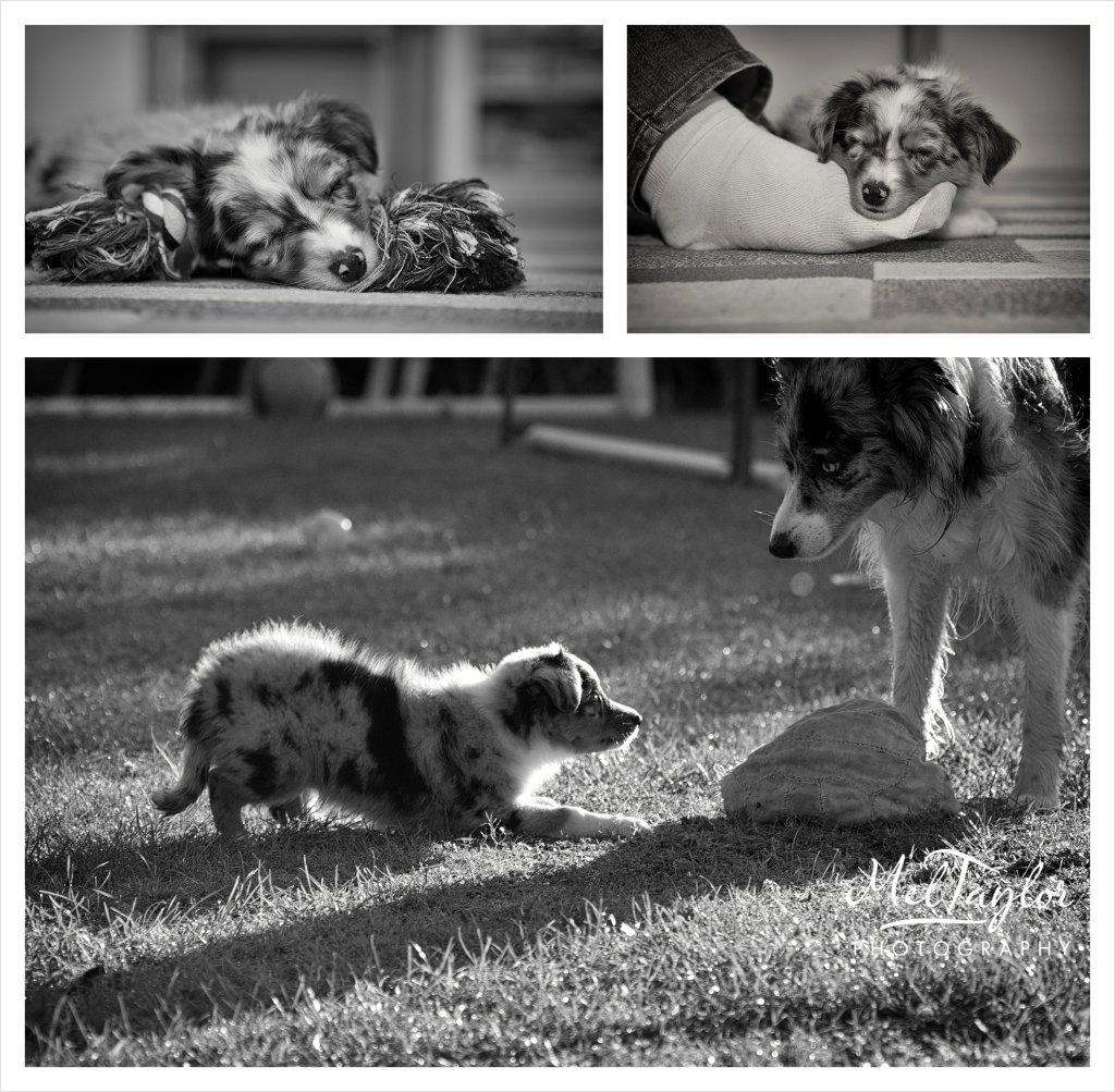 digital photographer_0078