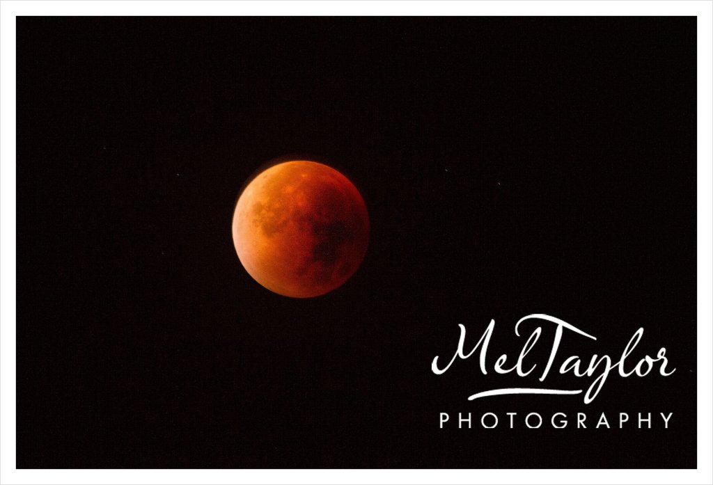 Digital Photographer_0143