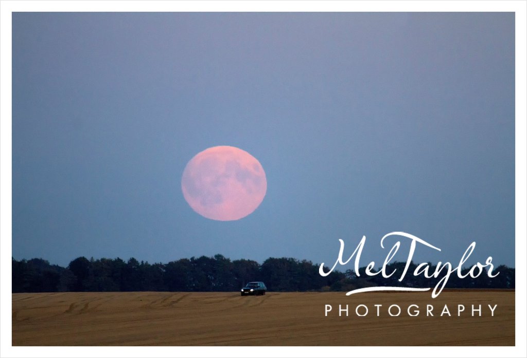 Digital Photographer_0146