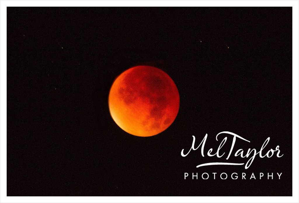 Digital Photographer_0147