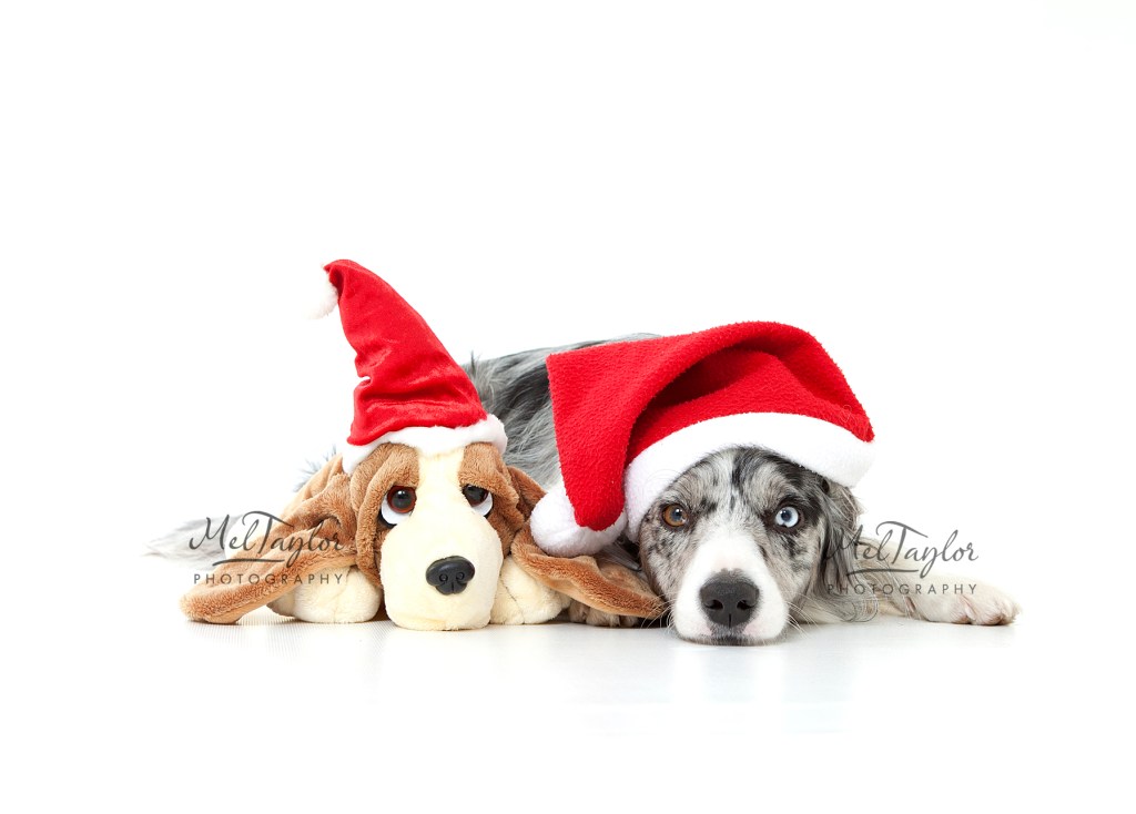 IMG_3284card)Watermarked