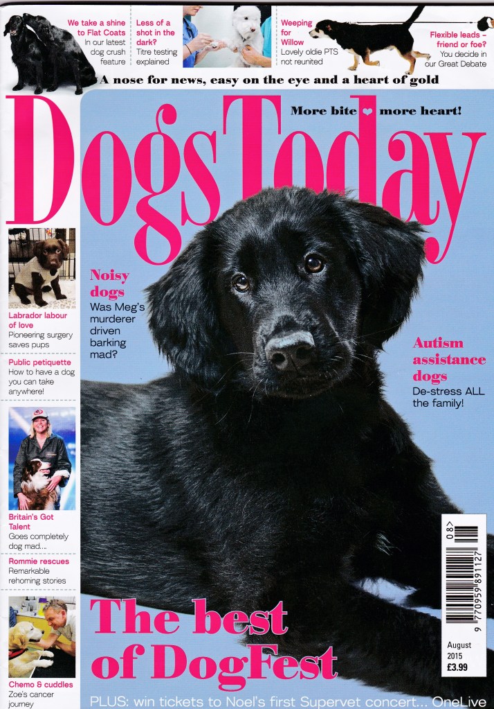 August 2015 Mag cover