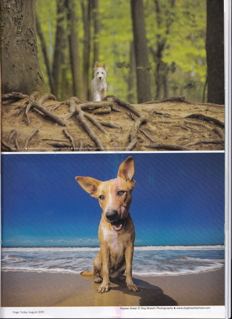 August 2015 Mag Image Page