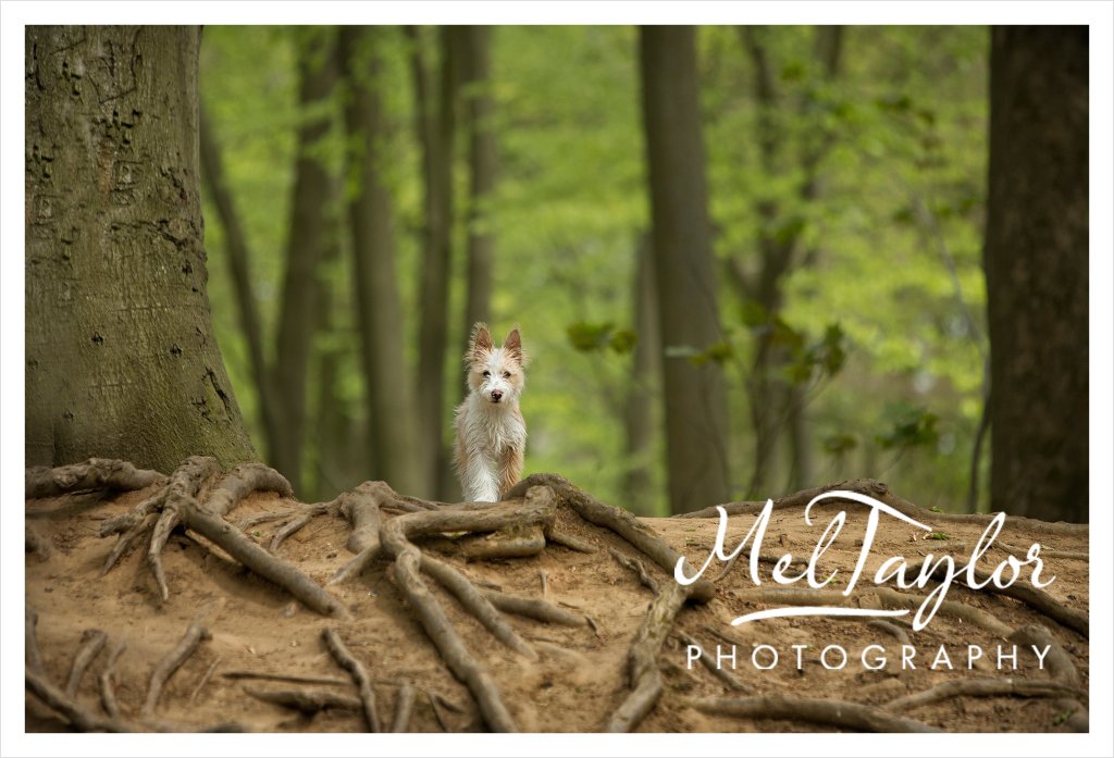 Digital Photographer_0171