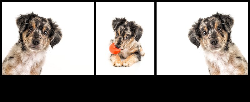 digital photographer_0017