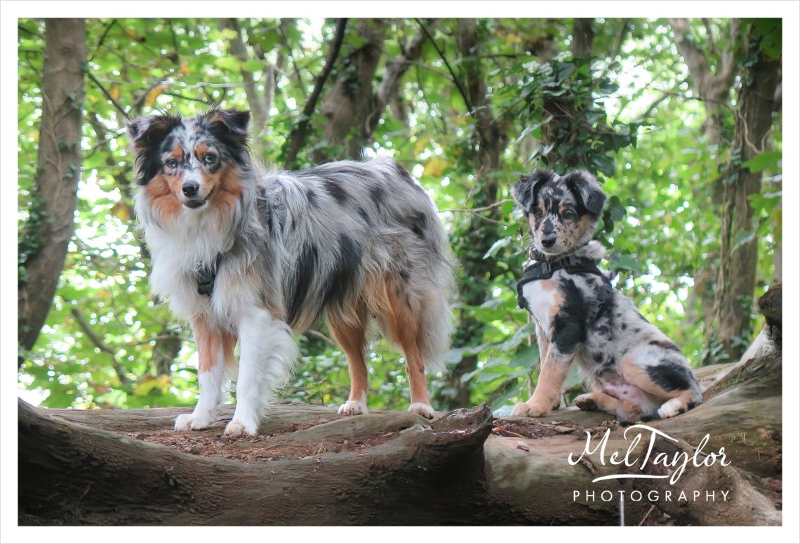 digital photographer_0070