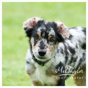 Digital Photographer_0111