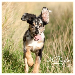 Digital Photographer_0112