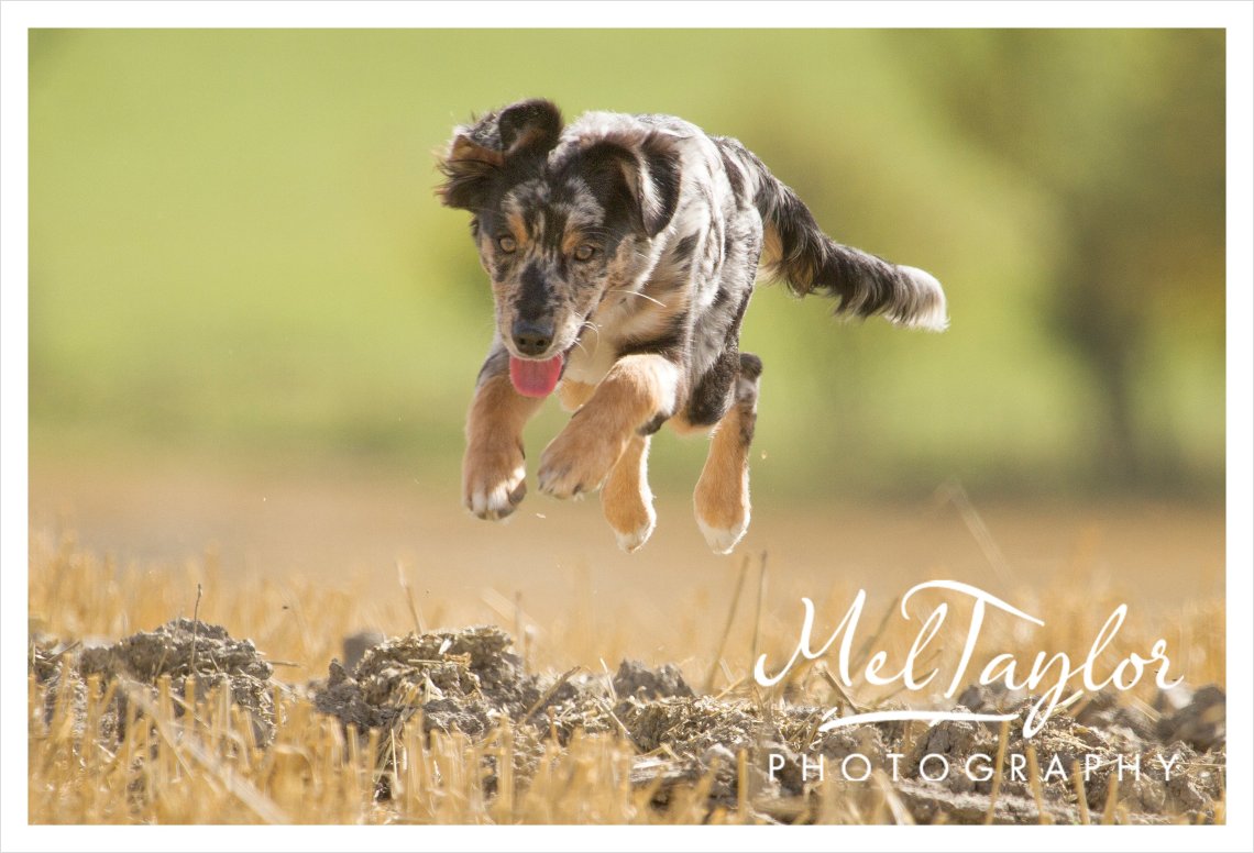 Digital Photographer_0138