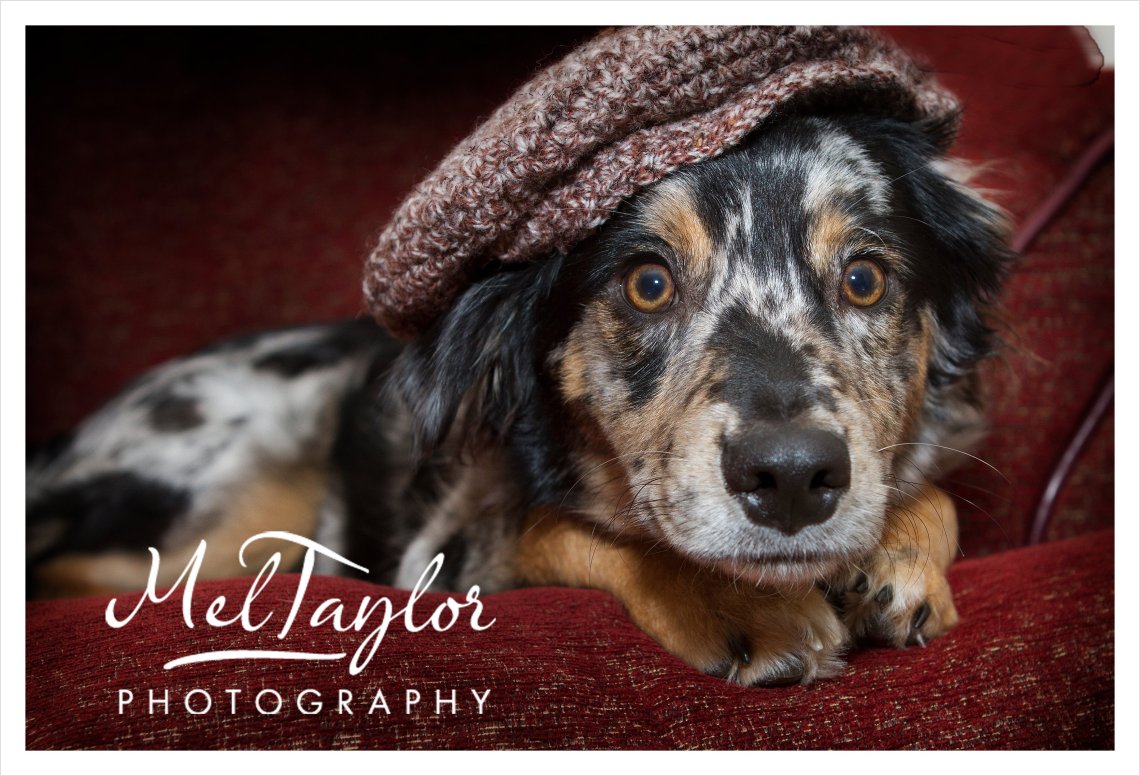 Digital Photographer_0200