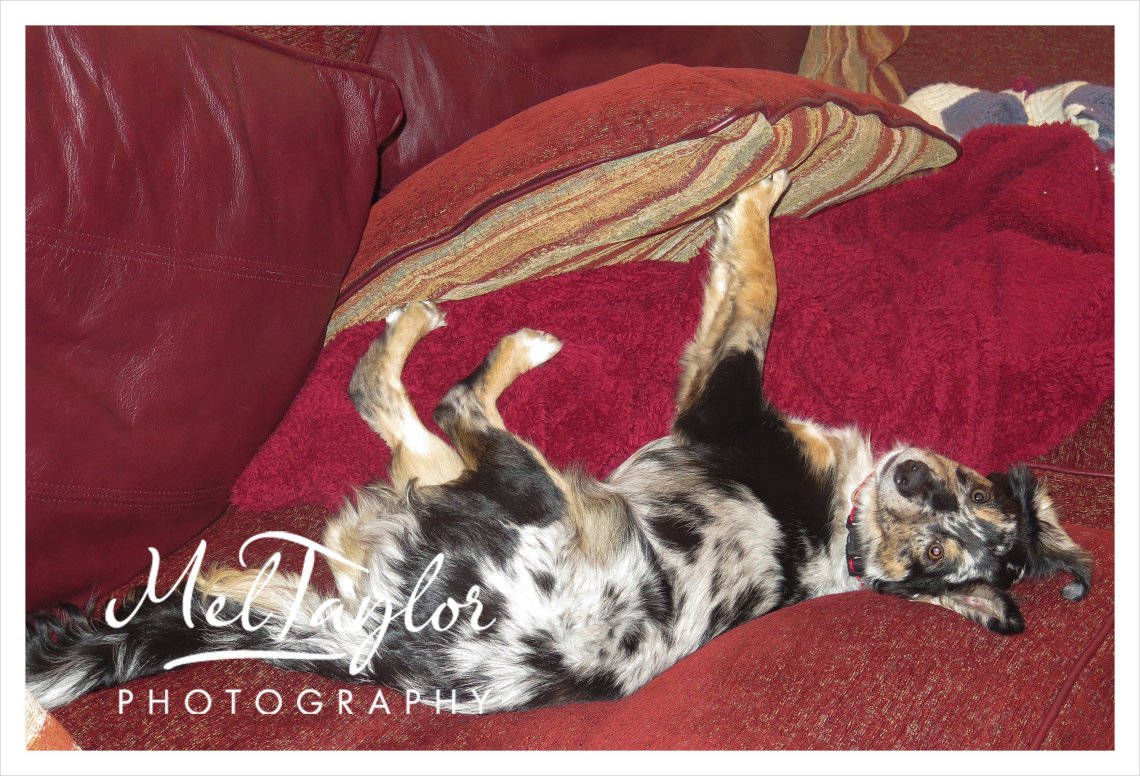 Digital Photographer_0201