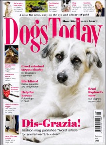 September 2015 Cover