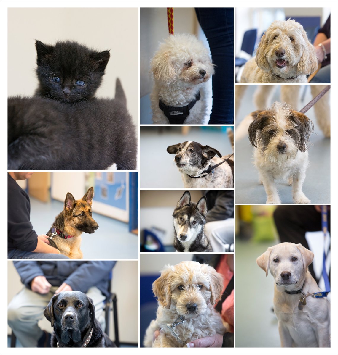 Digital Photographer_0322