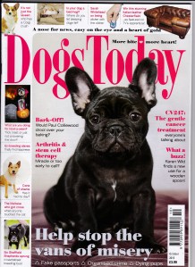 Dogs Today October Front 2015