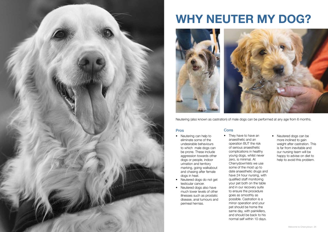 Neuter - Final Version-3