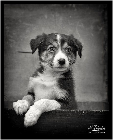 Digital Photographer_0431