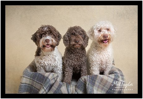 Digital Photographer_0433