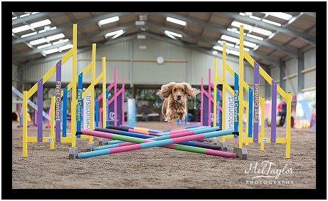 Digital Photographer_0436